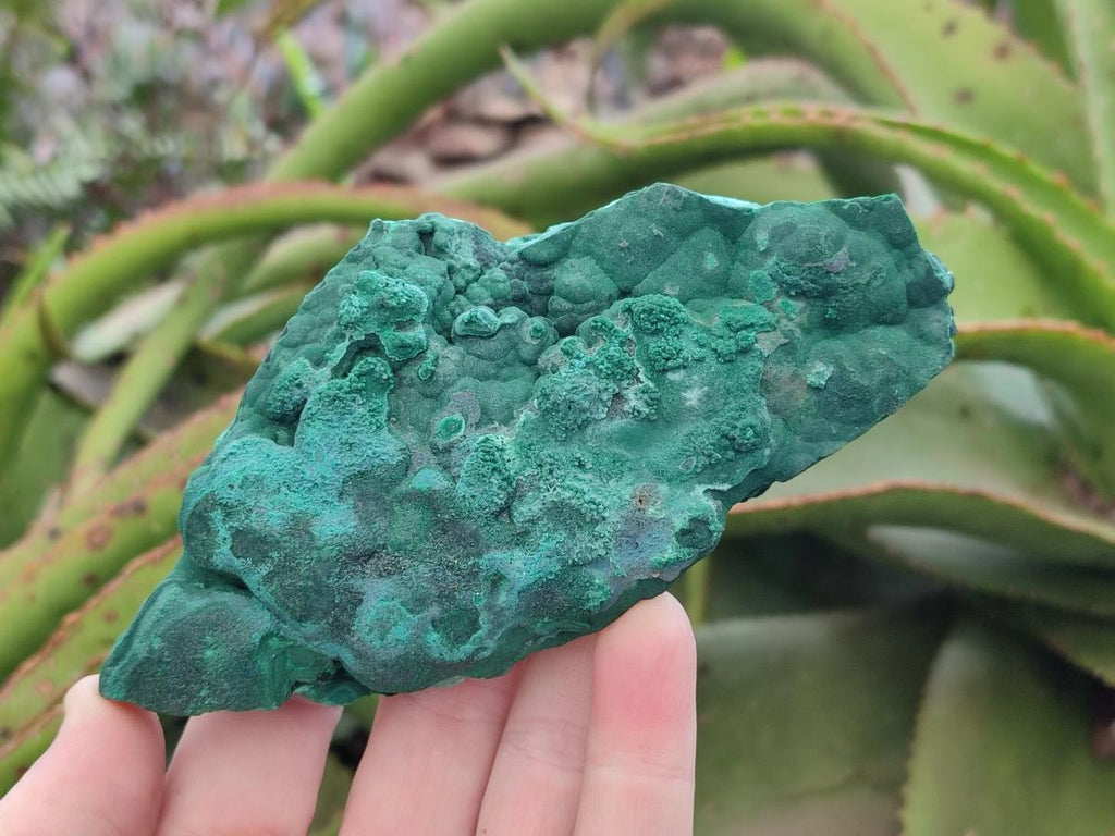 Natural Botryoidal Malachite Specimens x 4 From Congo - Toprock Gemstones and Minerals 