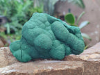 Natural Botryoidal Malachite Specimens x 4 From Congo - Toprock Gemstones and Minerals 