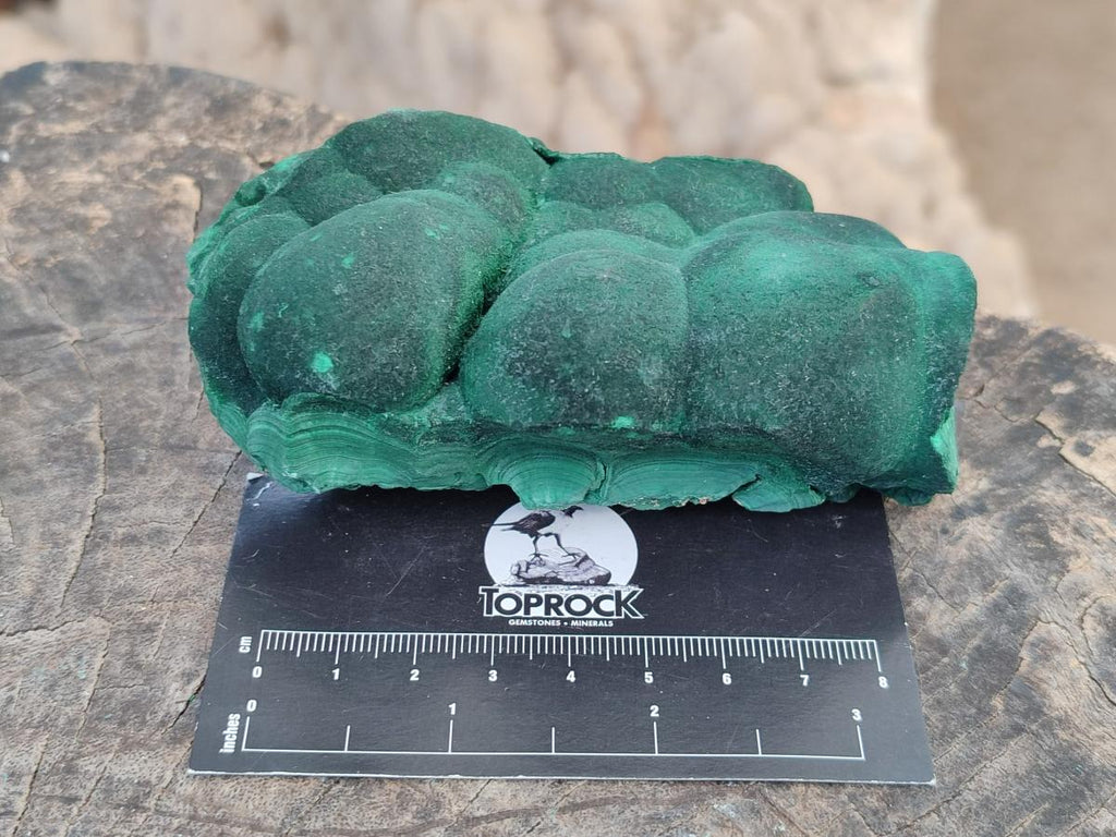 Natural Botryoidal Malachite Specimens x 4 From Congo - Toprock Gemstones and Minerals 