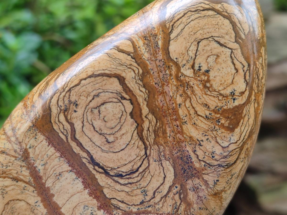 Polished Picture Stone Jasper Standing Display Pieces x 2 From Ais-Ais, Namibia - Toprock Gemstones and Minerals 