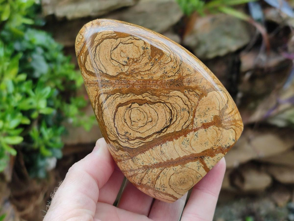 Polished Picture Stone Jasper Standing Display Pieces x 2 From Ais-Ais, Namibia - Toprock Gemstones and Minerals 