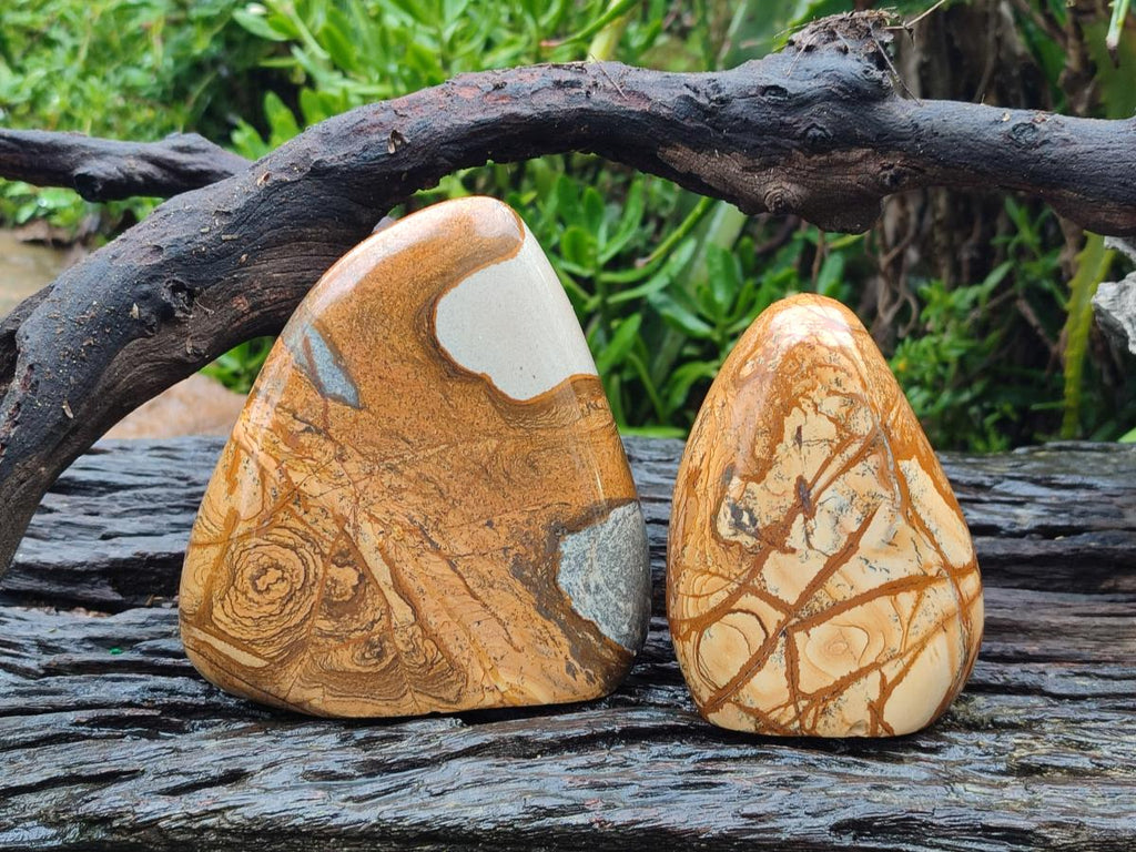 Polished Picture Stone Jasper Standing Display Pieces x 2 From Ais-Ais, Namibia - Toprock Gemstones and Minerals 