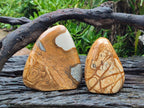 Polished Picture Stone Jasper Standing Display Pieces x 2 From Ais-Ais, Namibia - Toprock Gemstones and Minerals 