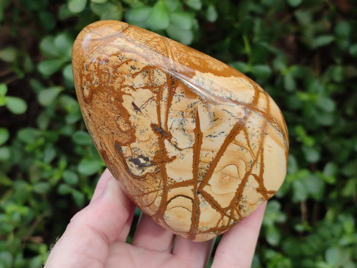 Polished Picture Stone Jasper Standing Display Pieces x 2 From Ais-Ais, Namibia - Toprock Gemstones and Minerals 