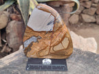 Polished Picture Stone Jasper Standing Display Pieces x 2 From Ais-Ais, Namibia - Toprock Gemstones and Minerals 