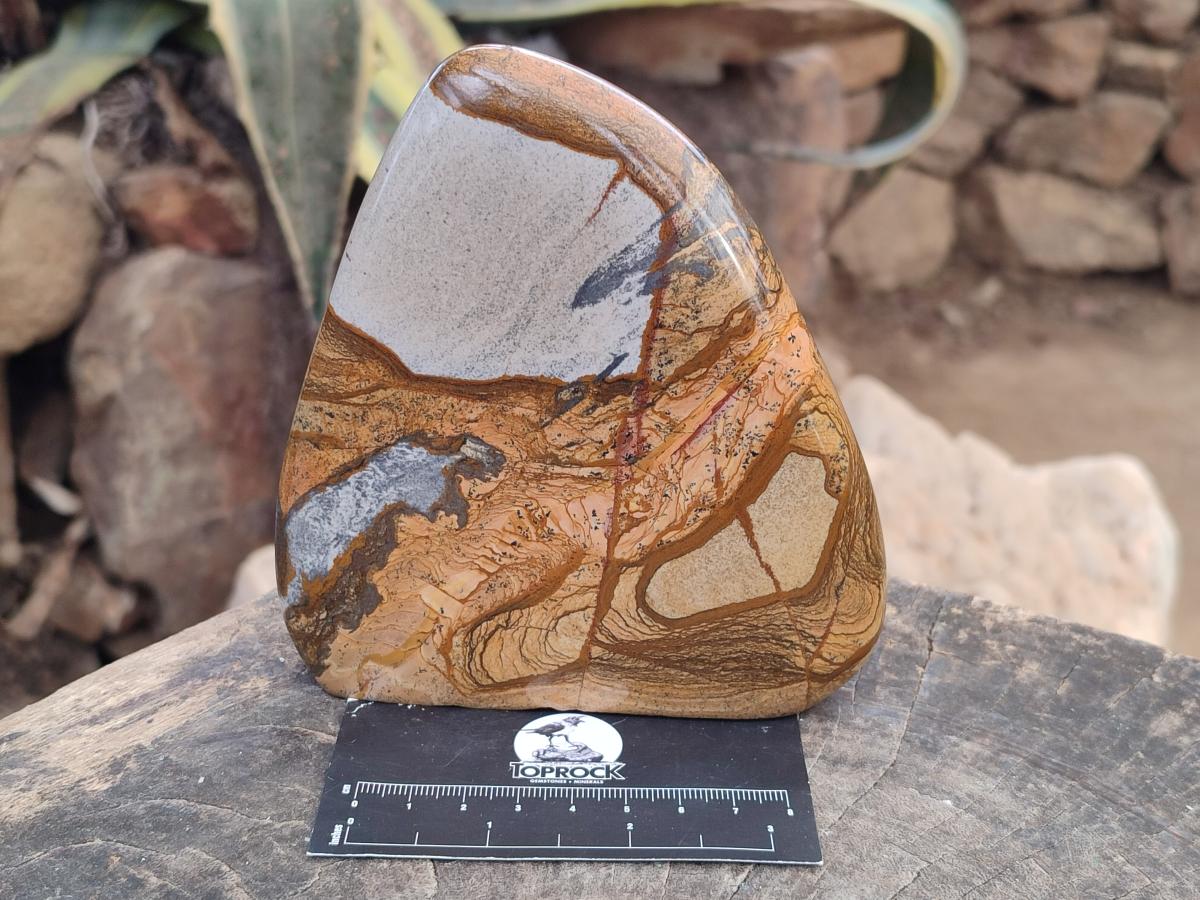 Polished Picture Stone Jasper Standing Display Pieces x 2 From Ais-Ais, Namibia - Toprock Gemstones and Minerals 