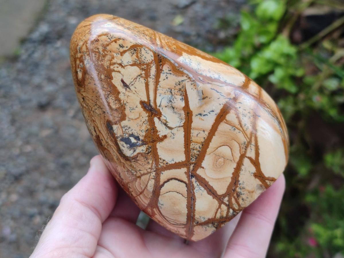 Polished Picture Stone Jasper Standing Display Pieces x 2 From Ais-Ais, Namibia - Toprock Gemstones and Minerals 