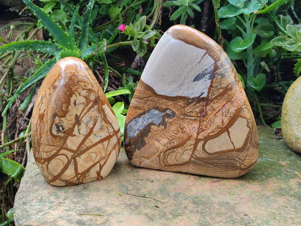 Polished Picture Stone Jasper Standing Display Pieces x 2 From Ais-Ais, Namibia - Toprock Gemstones and Minerals 