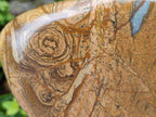 Polished Picture Stone Jasper Standing Display Pieces x 2 From Ais-Ais, Namibia - Toprock Gemstones and Minerals 