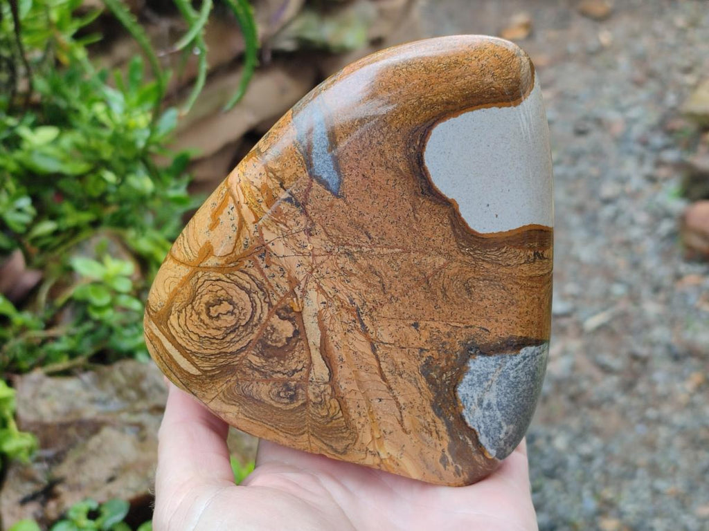 Polished Picture Stone Jasper Standing Display Pieces x 2 From Ais-Ais, Namibia - Toprock Gemstones and Minerals 