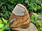 Polished Picture Stone Jasper Standing Display Pieces x 2 From Ais-Ais, Namibia - Toprock Gemstones and Minerals 