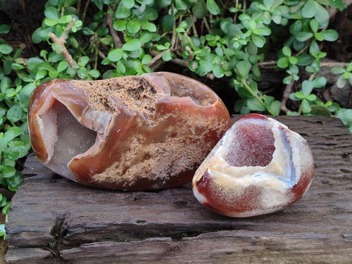 Polished Lemur Island Crystalline Geodes x 2 From Nosy Varika, Madagascar - Toprock Gemstones and Minerals 