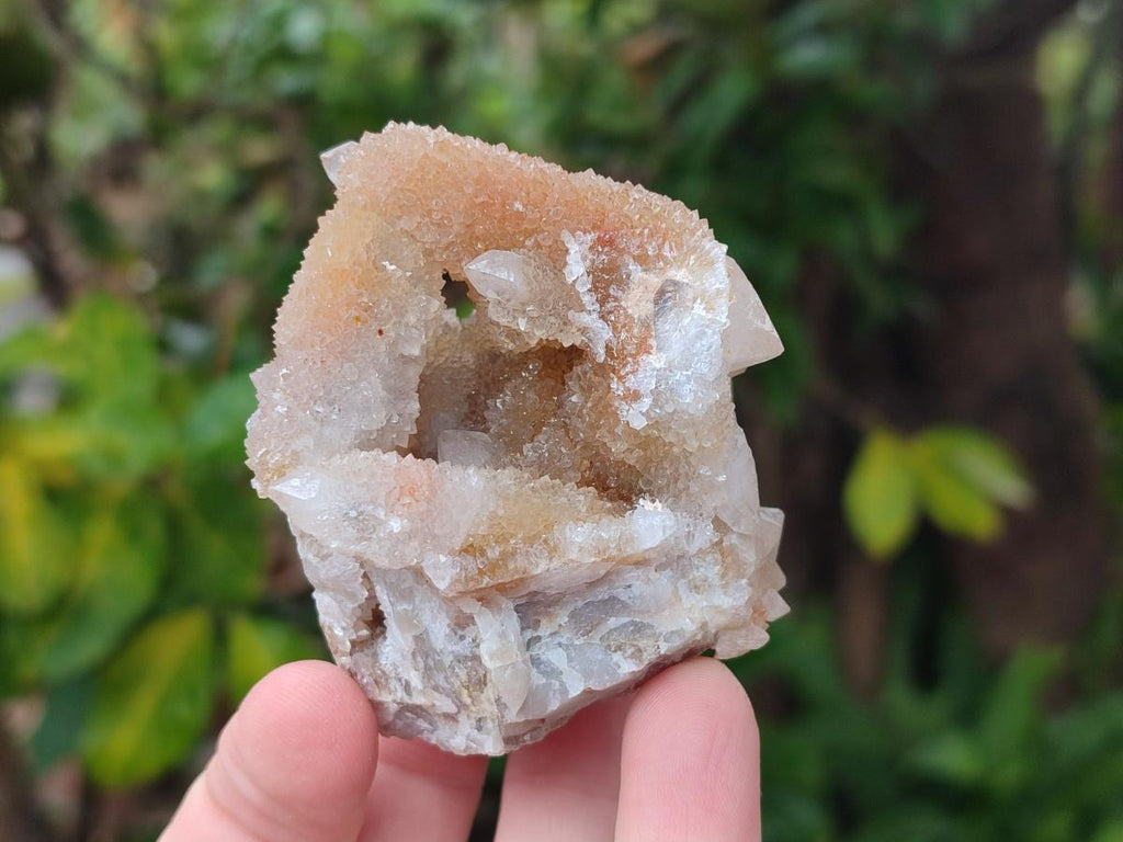 Natural Limonite Spirit Quartz Crystal Clusters x 12 From Boekenhouthoek, South Africa - Toprock Gemstones and Minerals 