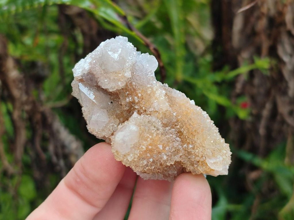 Natural Limonite Spirit Quartz Crystal Clusters x 12 From Boekenhouthoek, South Africa - Toprock Gemstones and Minerals 