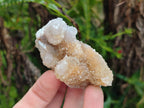 Natural Limonite Spirit Quartz Crystal Clusters x 12 From Boekenhouthoek, South Africa - Toprock Gemstones and Minerals 