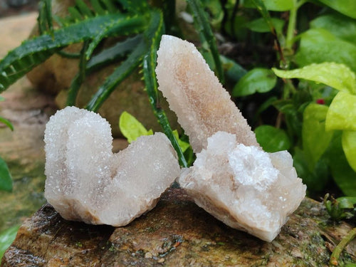 Natural Limonite Spirit Quartz Crystal Clusters x 12 From Boekenhouthoek, South Africa - Toprock Gemstones and Minerals 