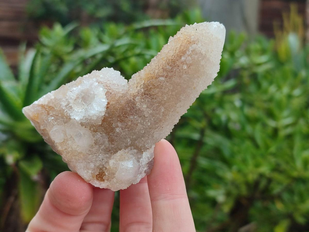 Natural Limonite Spirit Quartz Crystal Clusters x 12 From Boekenhouthoek, South Africa - Toprock Gemstones and Minerals 