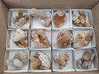 Natural Limonite Spirit Quartz Crystal Clusters x 12 From Boekenhouthoek, South Africa - Toprock Gemstones and Minerals 
