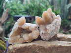 Natural Limonite Spirit Quartz Crystal Clusters x 12 From Boekenhouthoek, South Africa - Toprock Gemstones and Minerals 