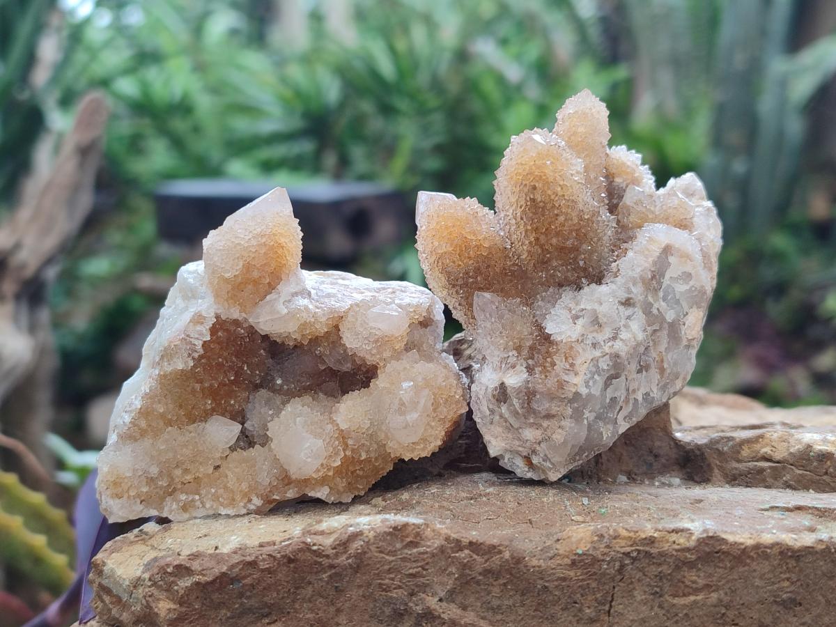 Natural Limonite Spirit Quartz Crystal Clusters x 12 From Boekenhouthoek, South Africa - Toprock Gemstones and Minerals 