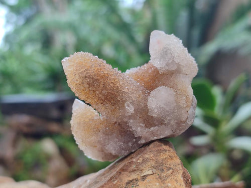 Natural Limonite Spirit Quartz Crystal Clusters x 12 From Boekenhouthoek, South Africa - Toprock Gemstones and Minerals 