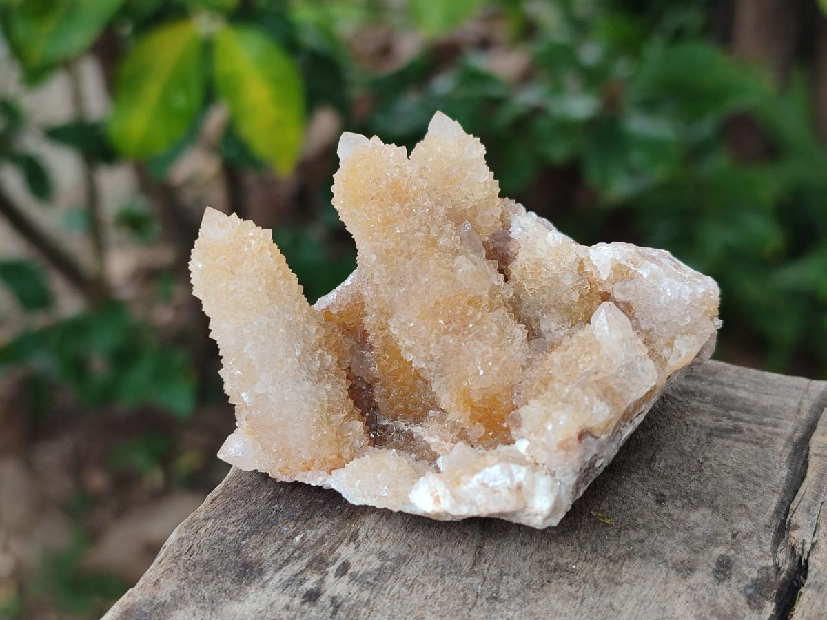 Natural Limonite Spirit Quartz Crystal Clusters x 12 From Boekenhouthoek, South Africa - Toprock Gemstones and Minerals 