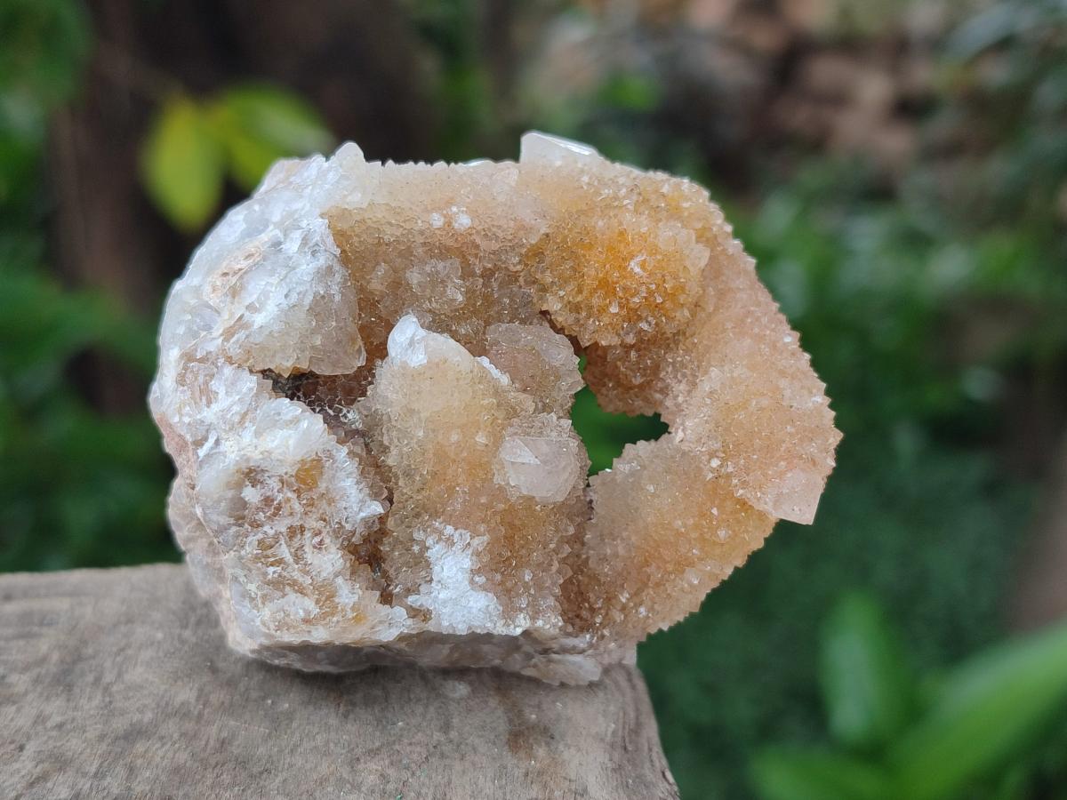 Natural Limonite Spirit Quartz Crystal Clusters x 12 From Boekenhouthoek, South Africa - Toprock Gemstones and Minerals 