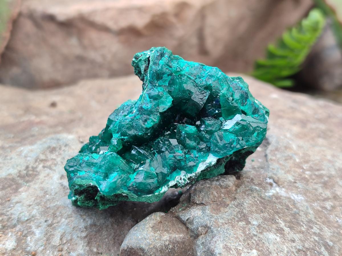 Natural Dioptase on Dolomite Specimens x 12 From Likasi, Congo - Toprock Gemstones and Minerals 