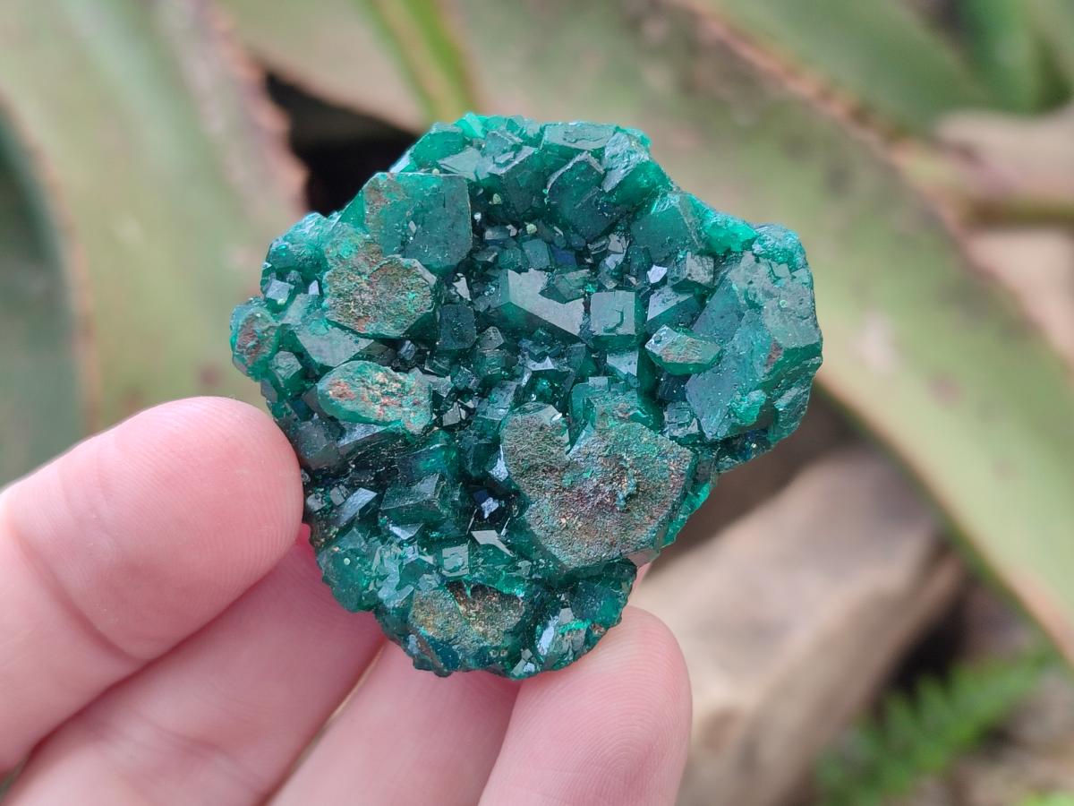 Natural Dioptase on Dolomite Specimens x 12 From Likasi, Congo - Toprock Gemstones and Minerals 
