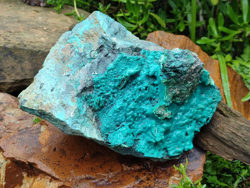 Natural XL Bright Blue Botryoidal Silica Chrysocolla Specimen x 1 From Kulukuluku, Congo - Toprock Gemstones and Minerals 