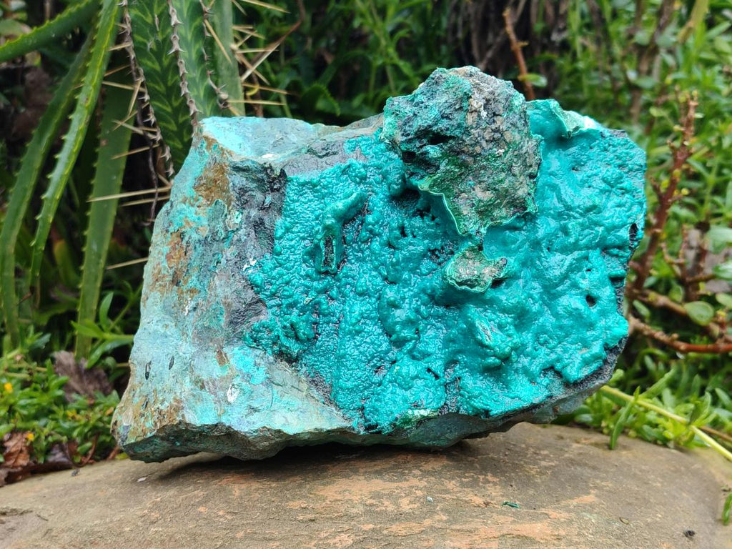 Natural XL Bright Blue Botryoidal Silica Chrysocolla Specimen x 1 From Kulukuluku, Congo - Toprock Gemstones and Minerals 