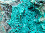 Natural XL Bright Blue Botryoidal Silica Chrysocolla Specimen x 1 From Kulukuluku, Congo - Toprock Gemstones and Minerals 