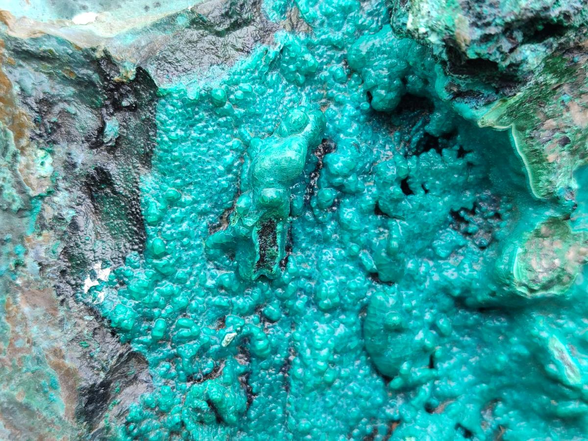Natural XL Bright Blue Botryoidal Silica Chrysocolla Specimen x 1 From Kulukuluku, Congo - Toprock Gemstones and Minerals 