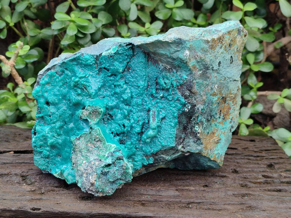 Natural XL Bright Blue Botryoidal Silica Chrysocolla Specimen x 1 From Kulukuluku, Congo - Toprock Gemstones and Minerals 