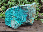 Natural XL Bright Blue Botryoidal Silica Chrysocolla Specimen x 1 From Kulukuluku, Congo - Toprock Gemstones and Minerals 