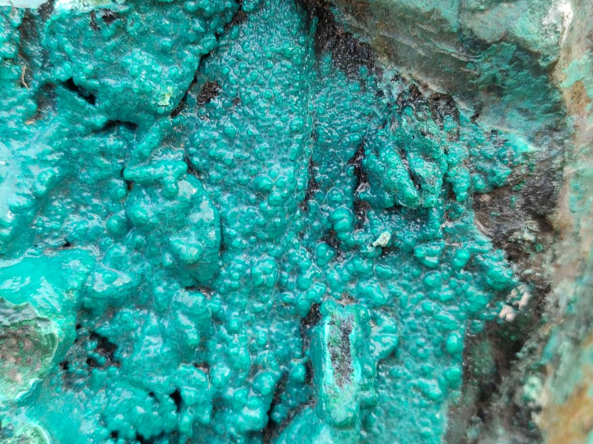 Natural XL Bright Blue Botryoidal Silica Chrysocolla Specimen x 1 From Kulukuluku, Congo - Toprock Gemstones and Minerals 