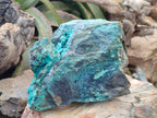 Natural XL Bright Blue Botryoidal Silica Chrysocolla Specimen x 1 From Kulukuluku, Congo - Toprock Gemstones and Minerals 