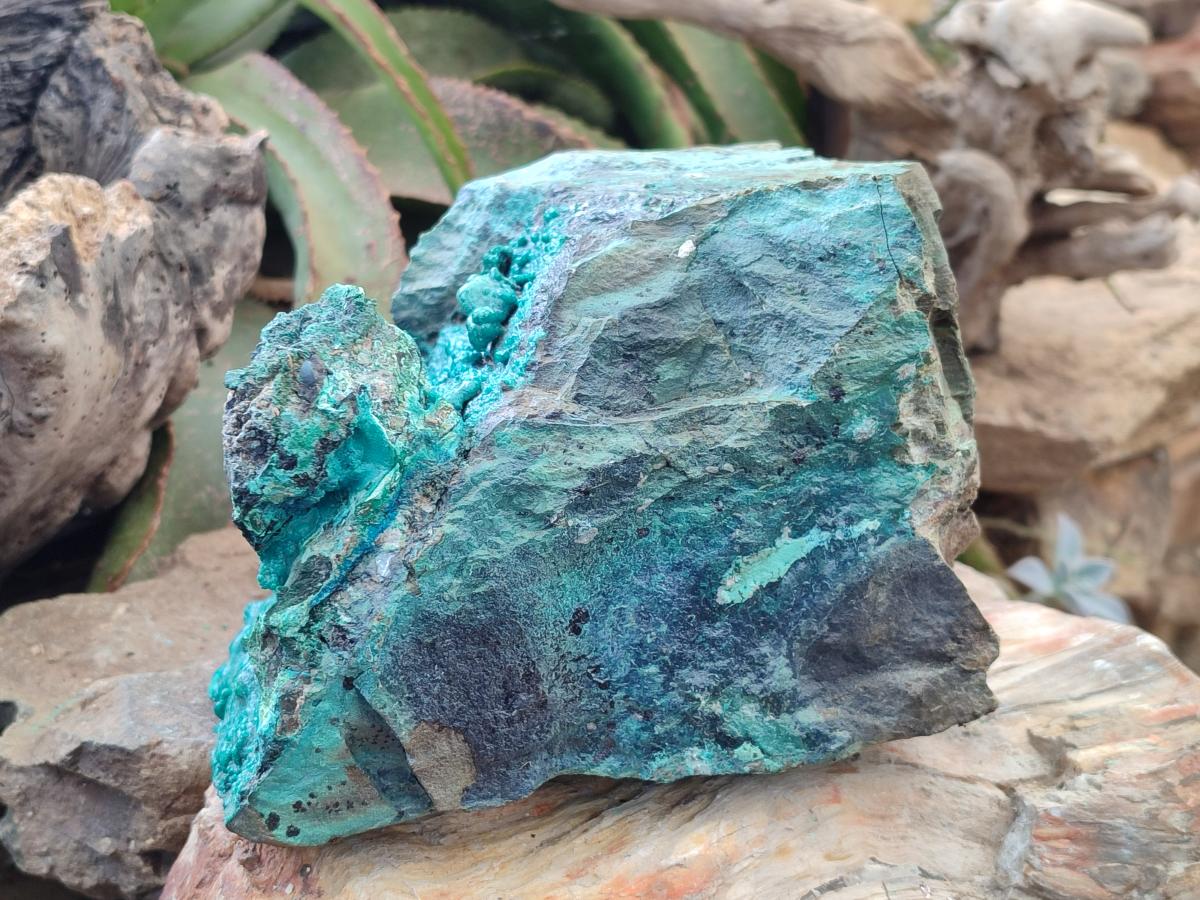 Natural XL Bright Blue Botryoidal Silica Chrysocolla Specimen x 1 From Kulukuluku, Congo - Toprock Gemstones and Minerals 