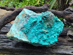 Natural XL Bright Blue Botryoidal Silica Chrysocolla Specimen x 1 From Kulukuluku, Congo - Toprock Gemstones and Minerals 