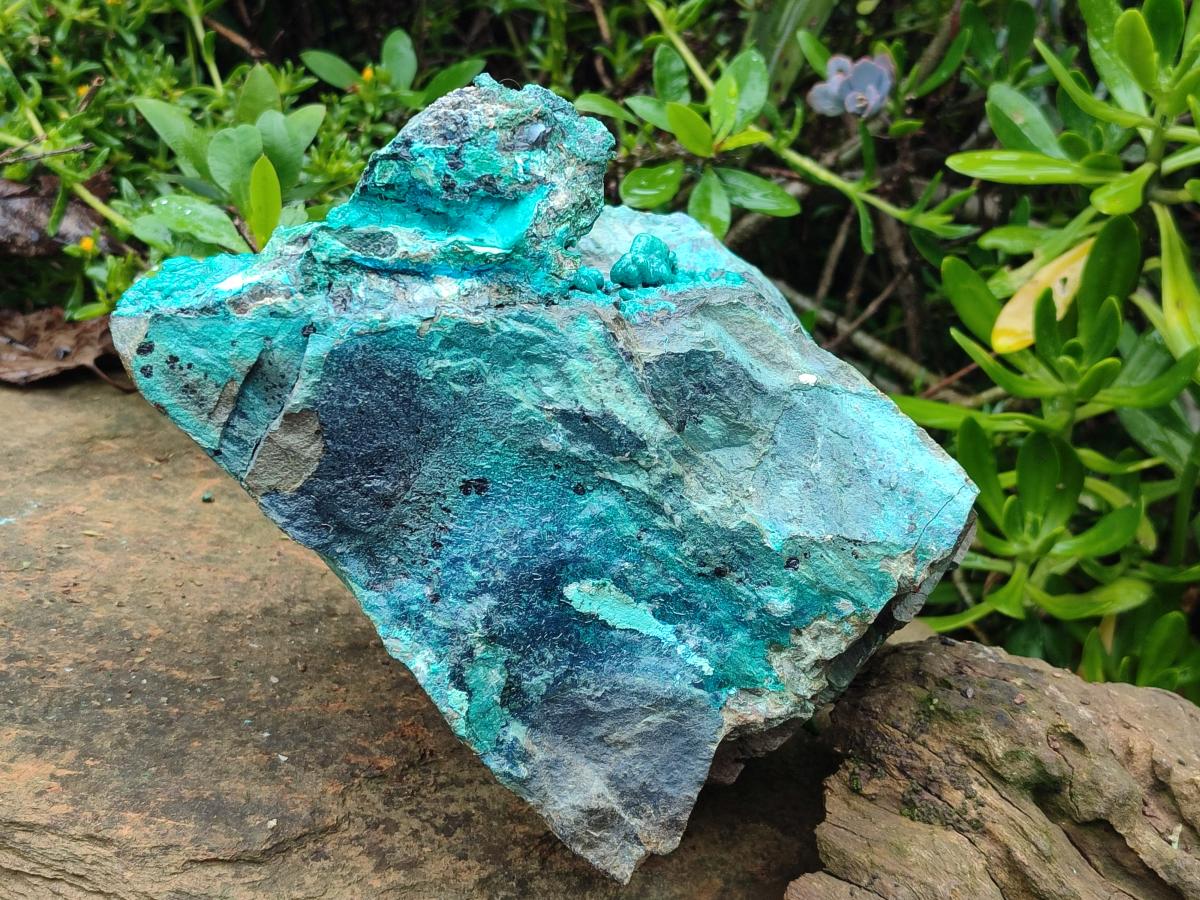 Natural XL Bright Blue Botryoidal Silica Chrysocolla Specimen x 1 From Kulukuluku, Congo - Toprock Gemstones and Minerals 