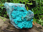 Natural XL Bright Blue Botryoidal Silica Chrysocolla Specimen x 1 From Kulukuluku, Congo - Toprock Gemstones and Minerals 
