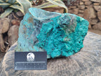 Natural XL Bright Blue Botryoidal Silica Chrysocolla Specimen x 1 From Kulukuluku, Congo - Toprock Gemstones and Minerals 