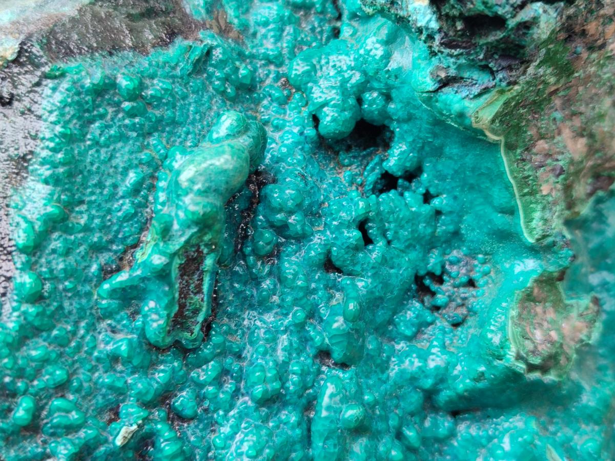 Natural XL Bright Blue Botryoidal Silica Chrysocolla Specimen x 1 From Kulukuluku, Congo - Toprock Gemstones and Minerals 