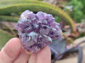 Natural Dark Amethyst Clusters x 70 From Mapatizya, Zambia - Toprock Gemstones and Minerals 
