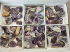 Natural Dark Amethyst Clusters x 70 From Mapatizya, Zambia - Toprock Gemstones and Minerals 