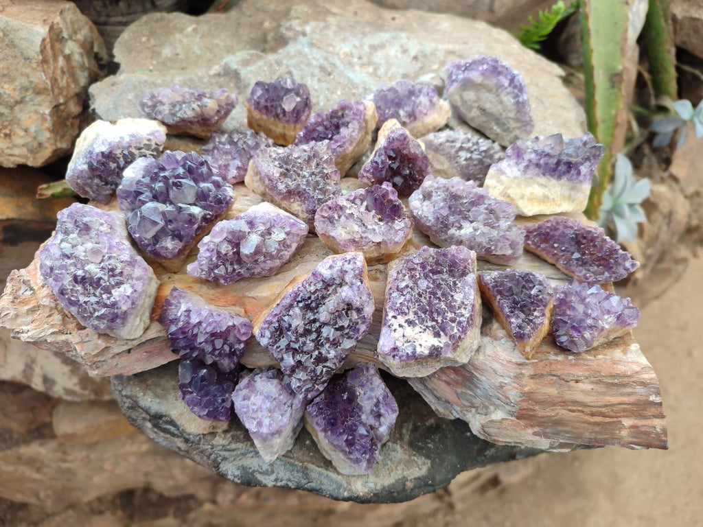 Natural Dark Amethyst Clusters x 70 From Mapatizya, Zambia - Toprock Gemstones and Minerals 