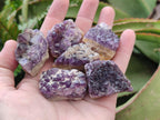 Natural Dark Amethyst Clusters x 70 From Mapatizya, Zambia - Toprock Gemstones and Minerals 
