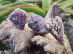 Natural Dark Amethyst Clusters x 70 From Mapatizya, Zambia - Toprock Gemstones and Minerals 