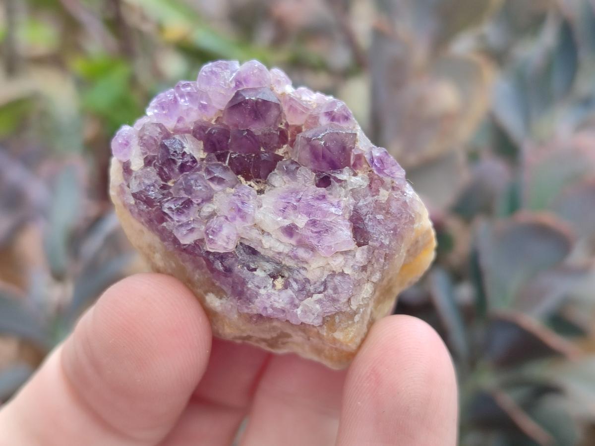 Natural Dark Amethyst Clusters x 70 From Mapatizya, Zambia - Toprock Gemstones and Minerals 
