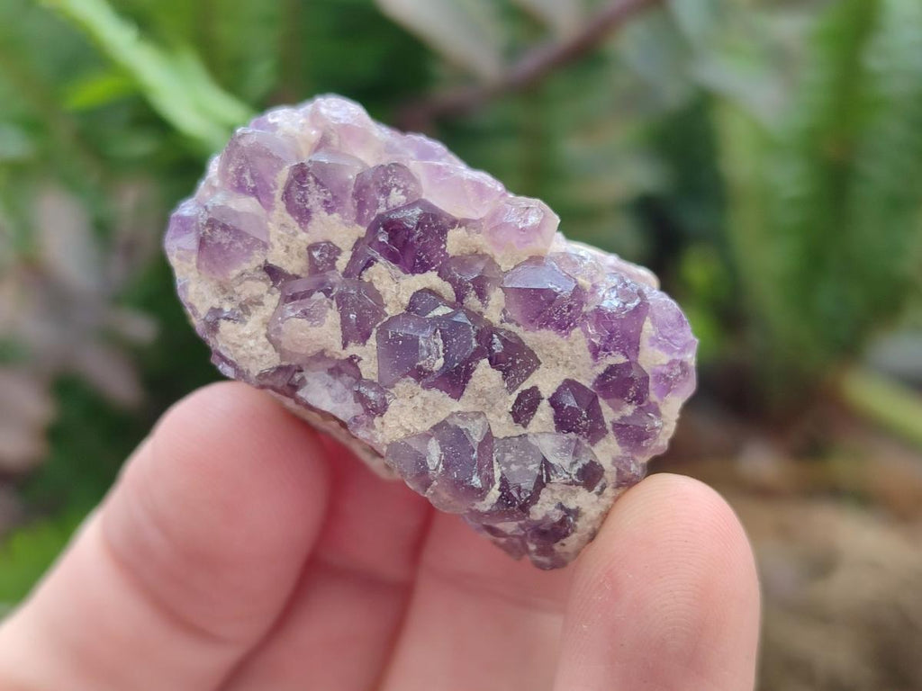 Natural Dark Amethyst Clusters x 70 From Mapatizya, Zambia - Toprock Gemstones and Minerals 
